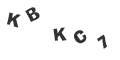 Captcha Error
