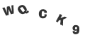 Captcha Error