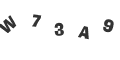 Captcha Error