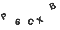 Captcha Error